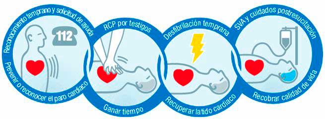 cadena supervivencia